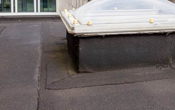 disadvantages of Walwyns Castle flat roofs
