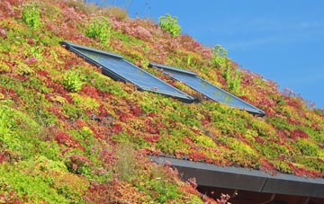 Walwyns Castle living roof systems